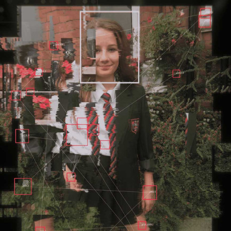 Molly kontra algorytmy