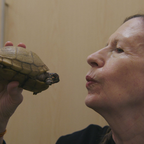 Meredith Monk – portret w kawałkach